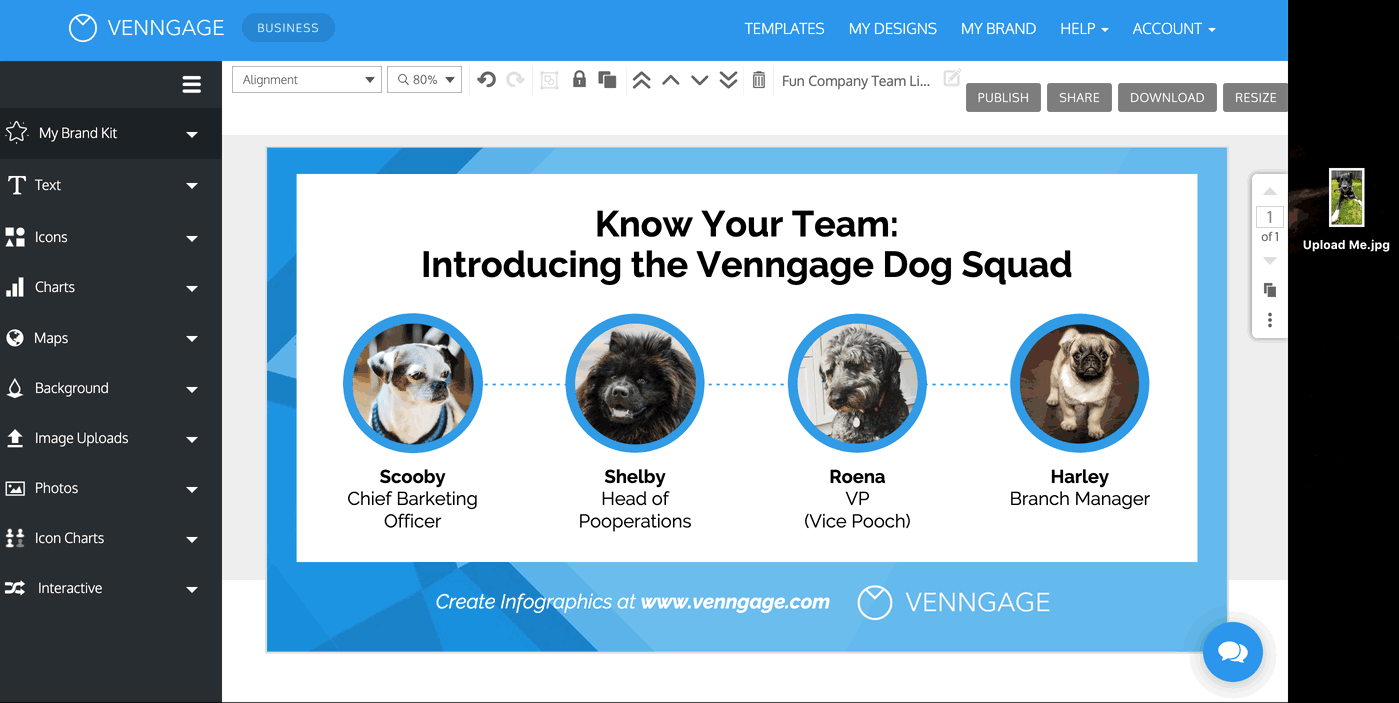 A design in the Venngage Editor is open, showing a slide titled 'Know Your Team: Introducing the Venngage Dog Squad'. Four images of dogs are visible on the canvas. The user clicks 'Image Uploads' in the left sidebar and from there, clicks the green 'Upload Image' button. A file explorer modal appears. The user clicks on an image file thumbnail called 'Upload Me.png' which shows a black dog with a stick in tis mouth. The photo of the black dog now appears in the Image Uploads gallery. The user clicks on the photo in the Image Uploads gallery, and the photo of the dog appears on the design canvas.