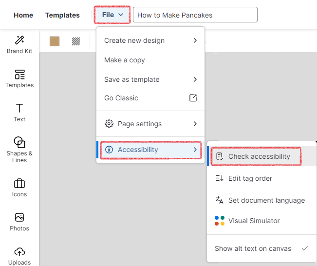 Accesibility Checker.png