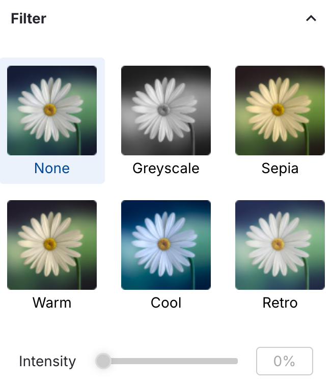 Image in the editor showing the filter options