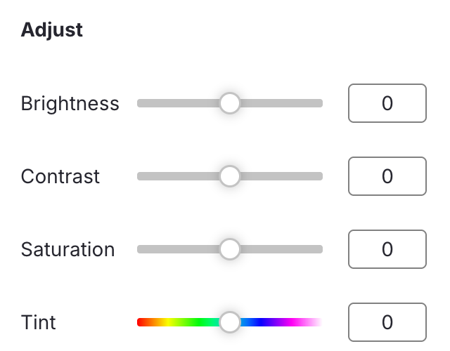 Image in the editor showing options that you can use to adjust the images color
